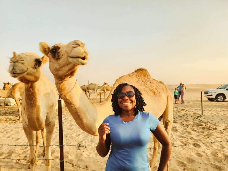 Camel on desert safari Dubai