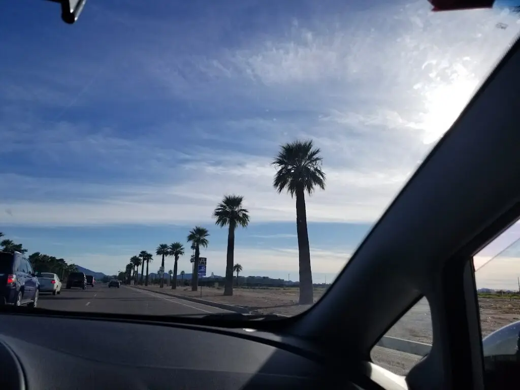 car ride palm trees