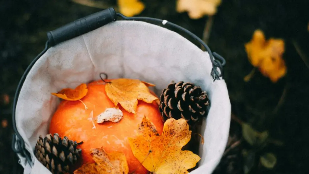 Maple Leaves and Acorns in a Bucket