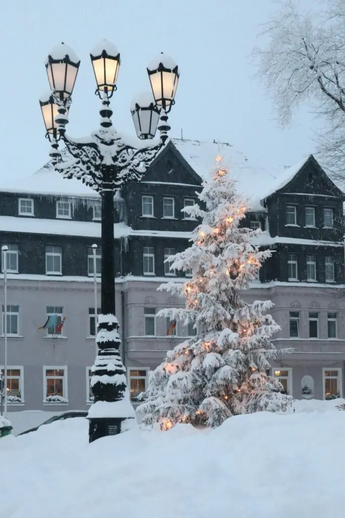 Street Lamp near Christmas Tree in Winter