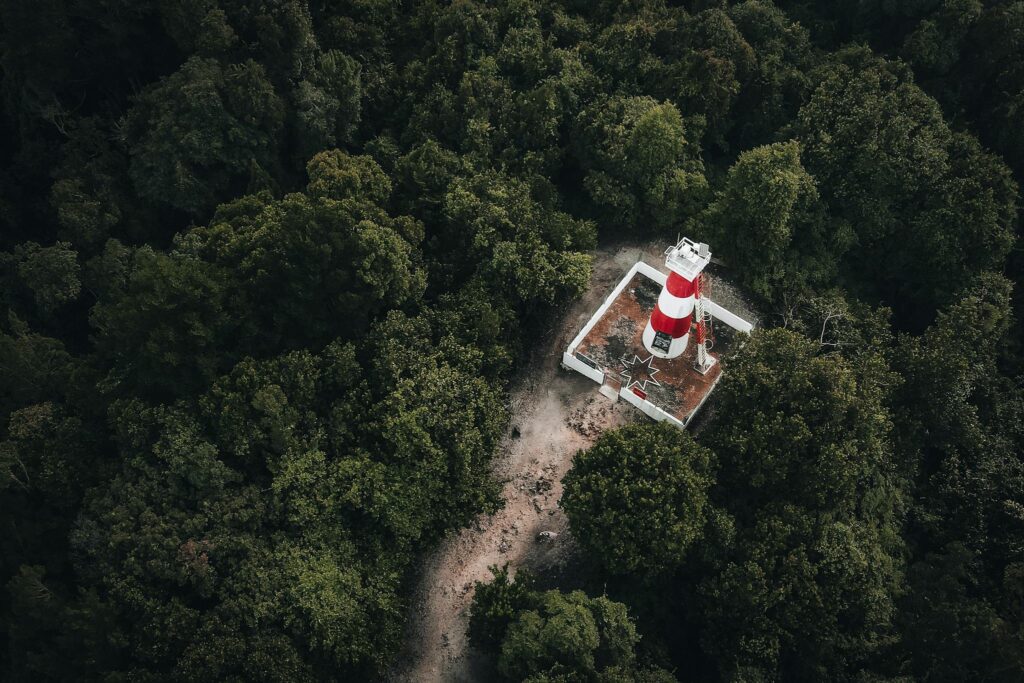 Stunning aerial view of the iconic Assateague Lighthouse surrounded by lush greenery, providing a unique landscape perspective.